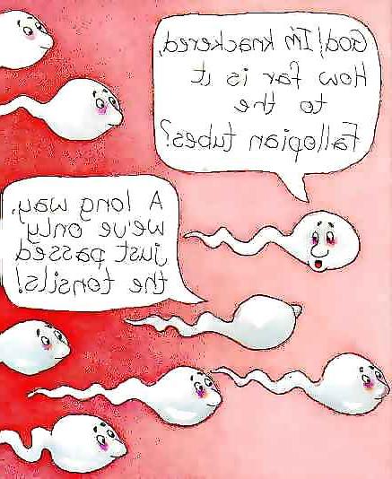25P Funny