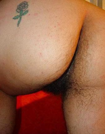 25P Mexican Hirsute Queen - Cuatro de Nueve