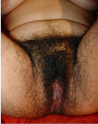 25P Mexican Hirsute Queen - Cuatro de Nueve