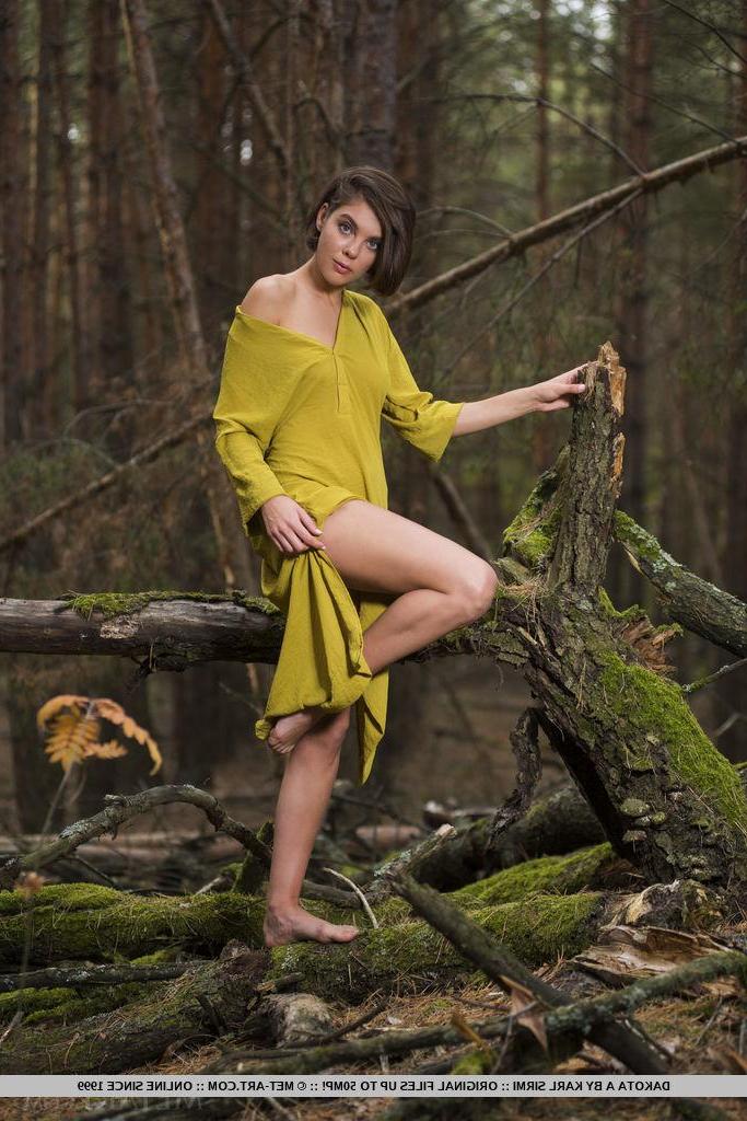 18P Brunette beauty Dakota takes some nude pictures for you in "Xiemo"
