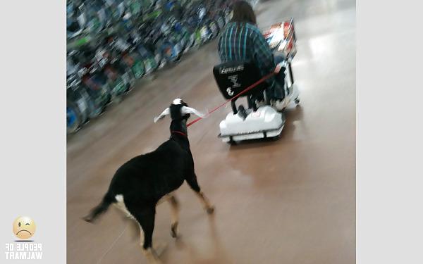 15P People of Walmart aka Mutants on Parade
