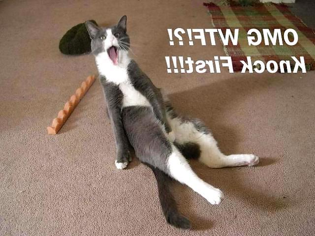 25P Kitty Porn: Man blames cat for downloading photos