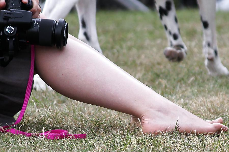 15P Voyeured feet and legs at dog show