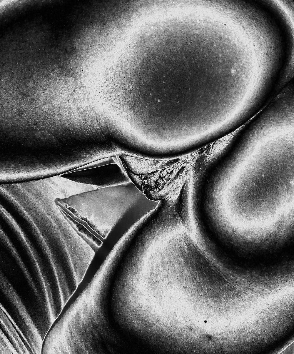 20P My wife's perfect pussy. Pls comment
