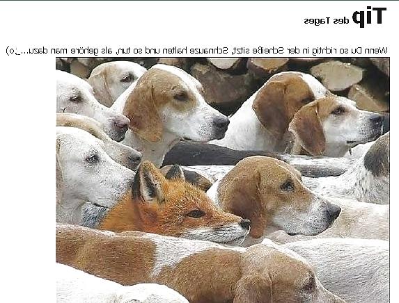 15P Funny 10