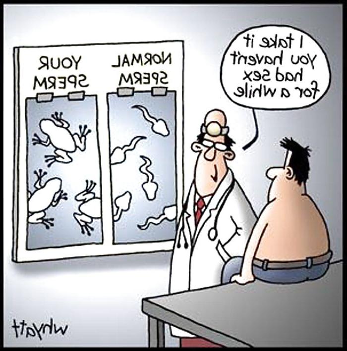 19P Funny 12