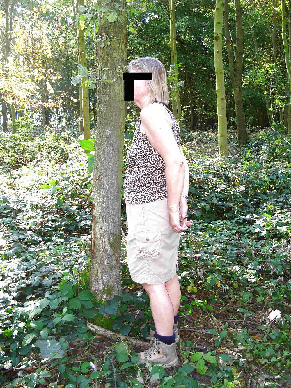 15P Walk In Country