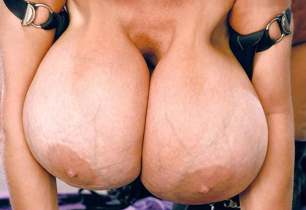 17P Show some tits