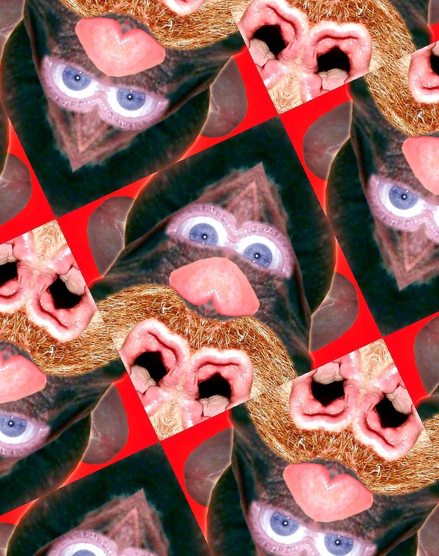 5P His face was a perfect study. 
