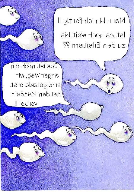 15P Funny 19