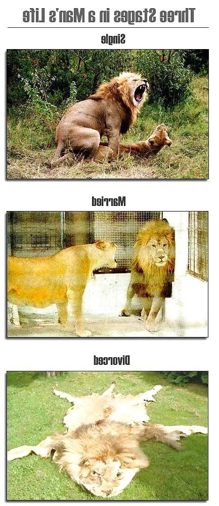 11P Funny 06