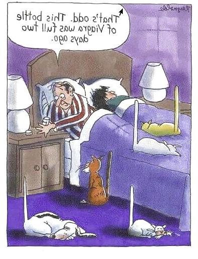 11P Funny 06