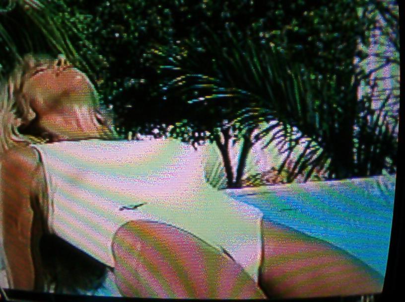 25P Denise Austin