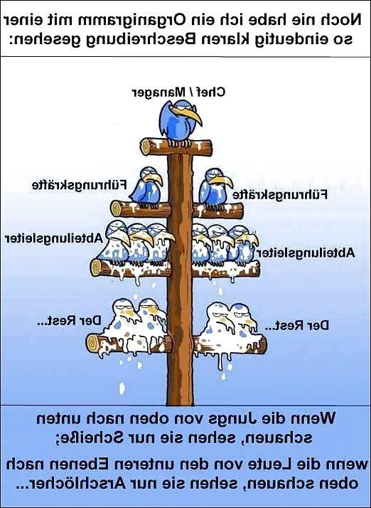 17P Funny 09