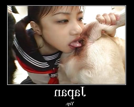 19P Funnies