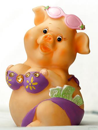 9P Sexy pig