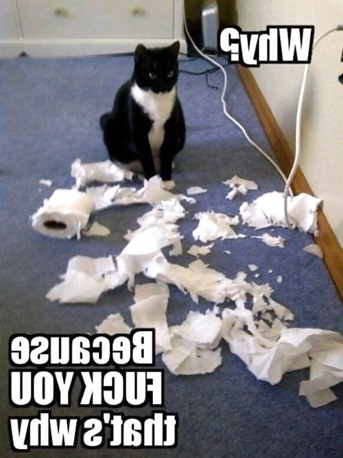 9P 12012001 jokes and funny stuff 