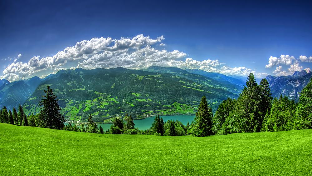 25P Cool Wallpapers