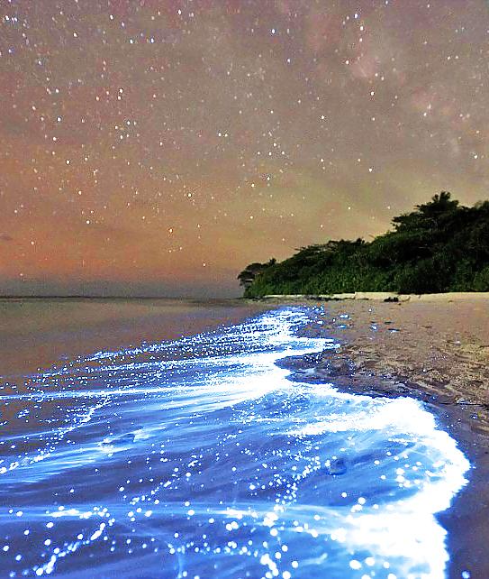 25P Cool Wallpapers