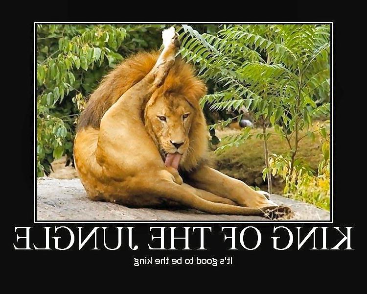 25P Motivational Posters 1