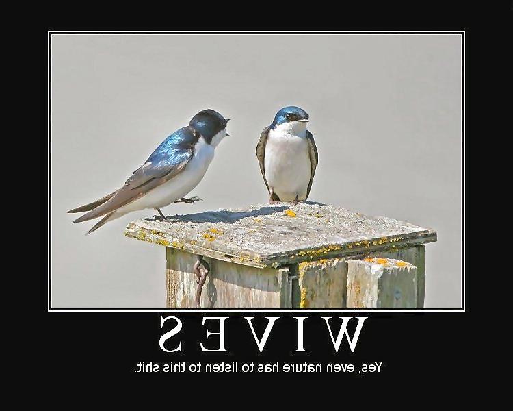 25P Motivational Posters 1