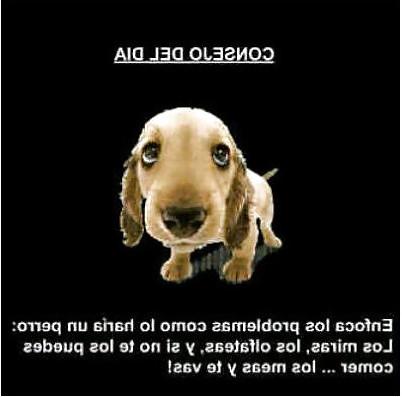 5P Funny pics
