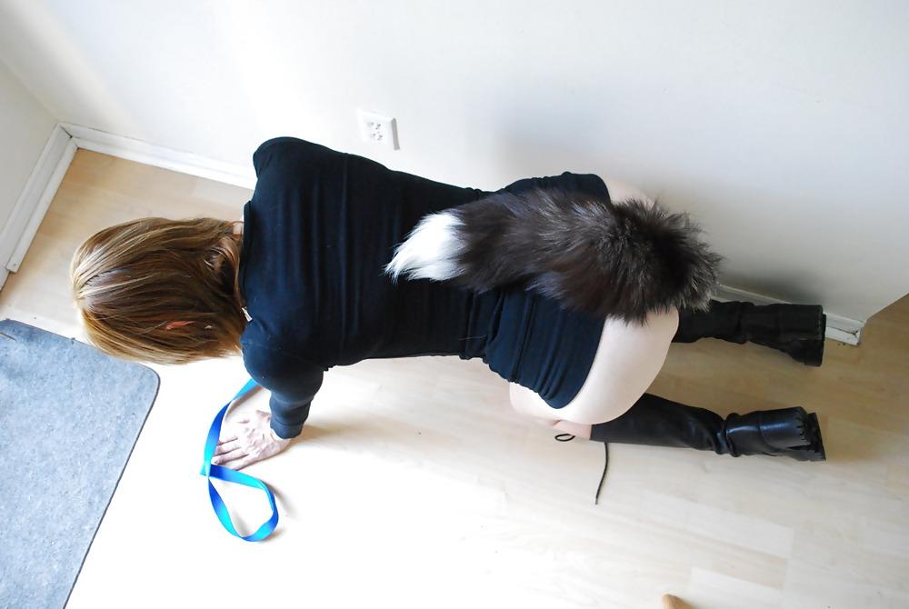 10P Pets with tail