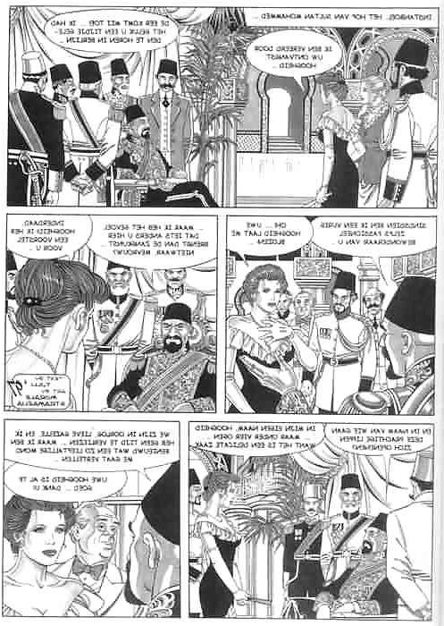 16P 29 Cartoon