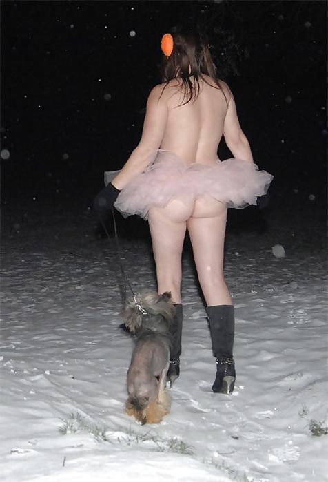 17P Hunde sind auch nur Menschen