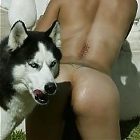 17P Hunde sind auch nur Menschen