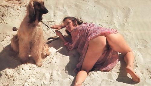 17P Hunde sind auch nur Menschen