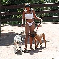 17P Hunde sind auch nur Menschen