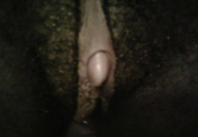 25P Some Good Phat Pussy
