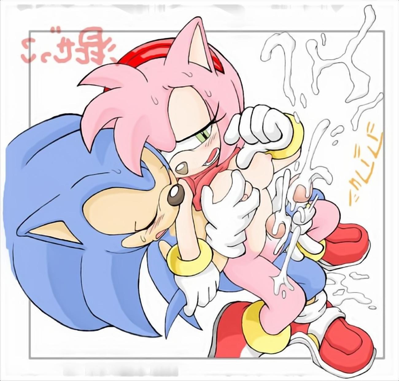 10P Amy Rose from Sonic as futa