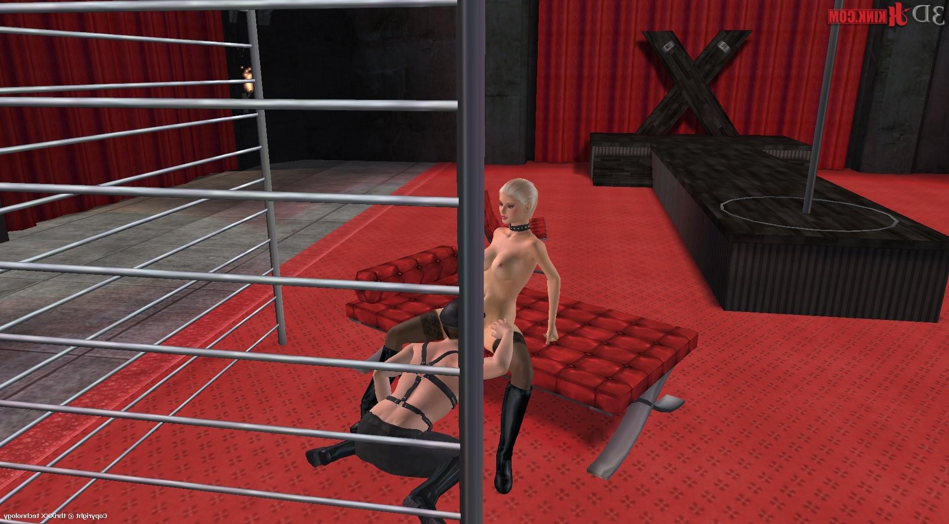 24P Hot BDSM sex action created in virtual fetish 3d sex game!