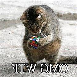 17P Funnies