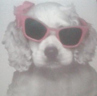 17P Funnies