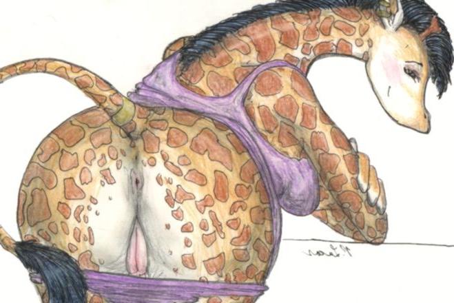 12P Eager furries looking for a big cock