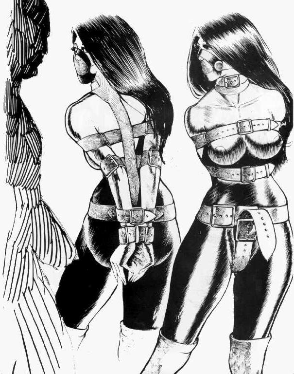 15P gorgeous women ball gagged bondage art