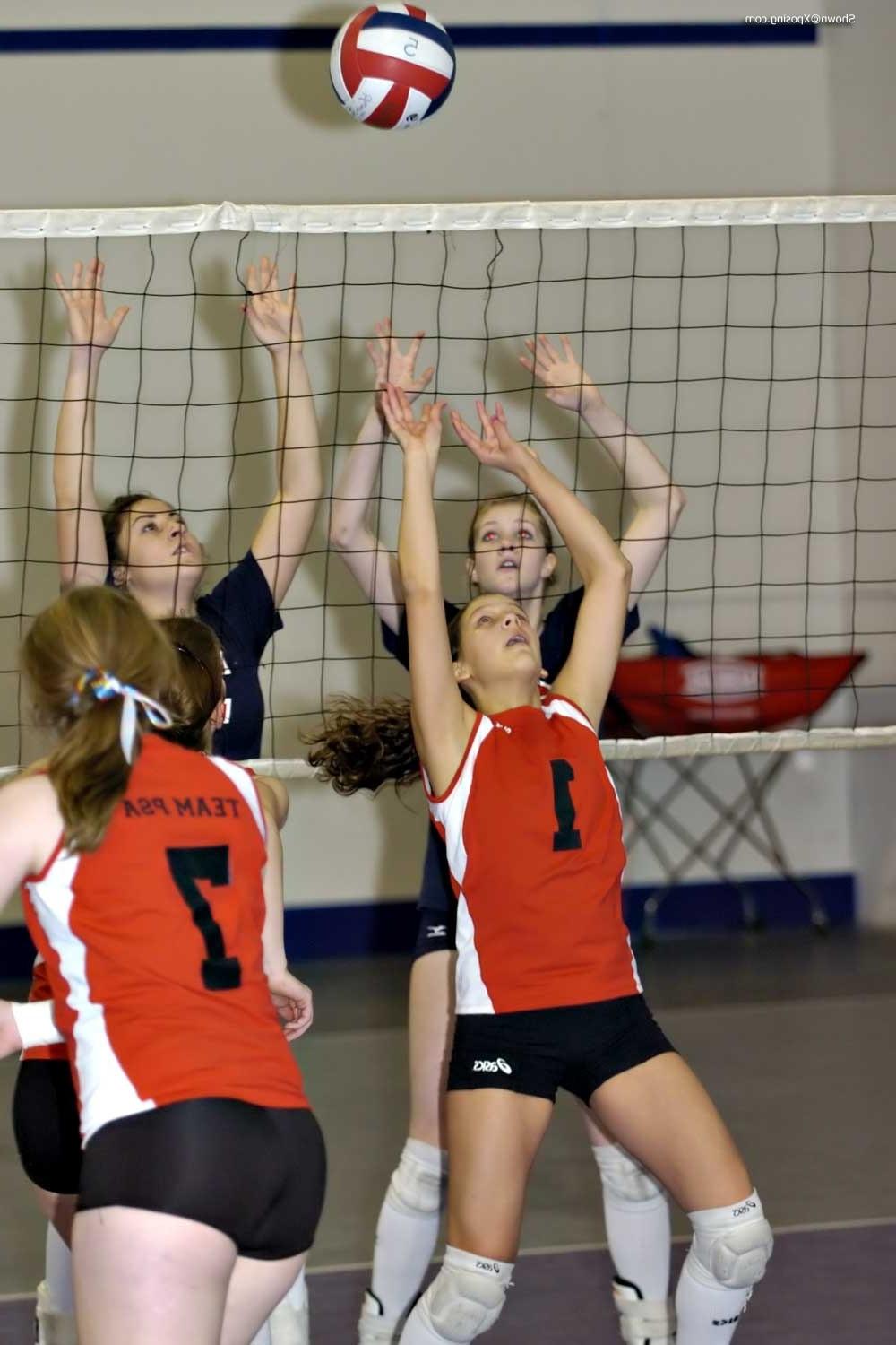 16P Volleyball girls