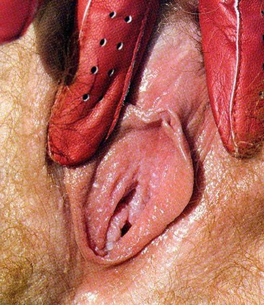 12P Vintage pornstar Colleen Brennan fucked in retro hardcore action
