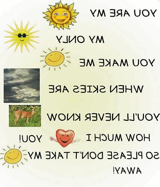 16P Funny 2