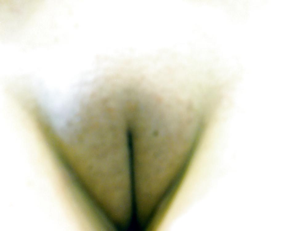 7P My girlfriends fat camel toe