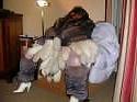 10P Fun in fur