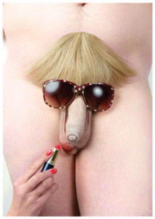 12P funny male penises