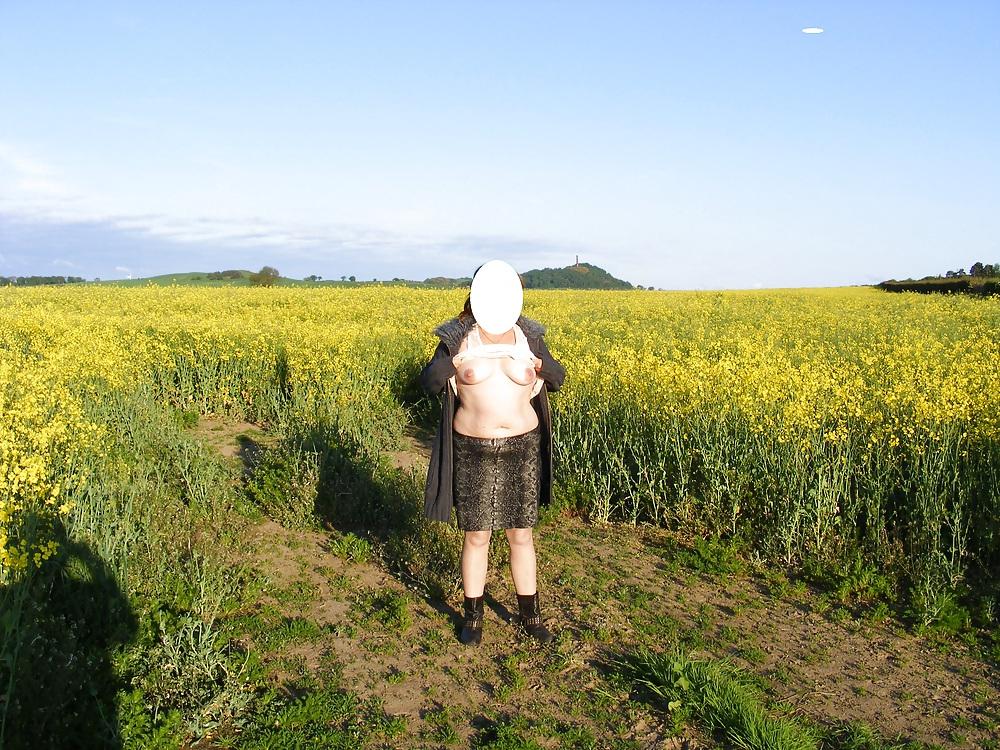 17P More public country side 
