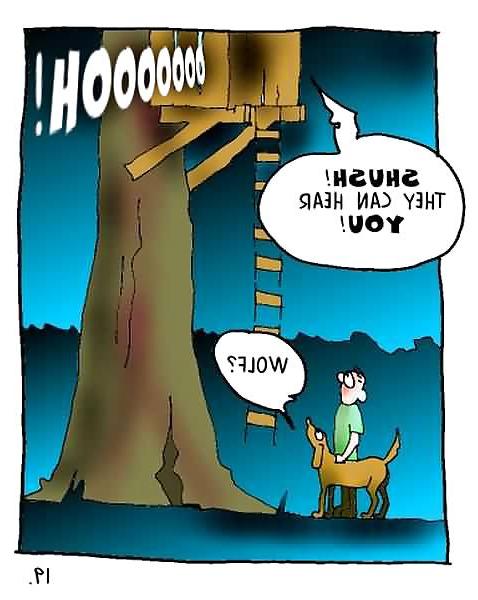 12P 11 Cartoon