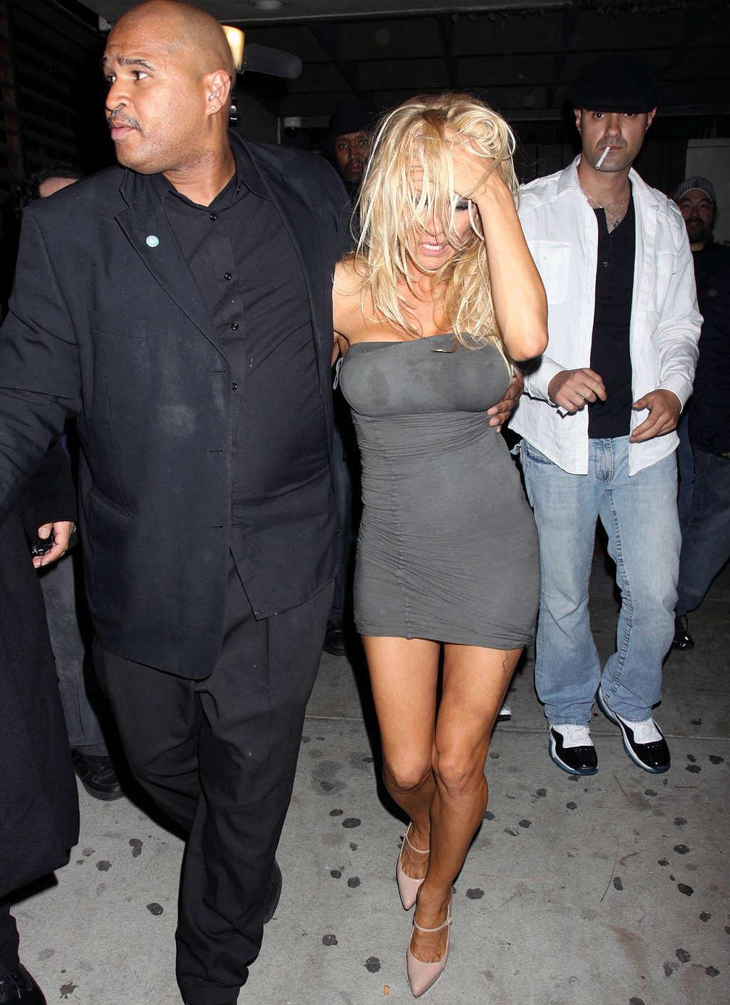10P Pamela Anderson caught showing her panties in car and topless posing