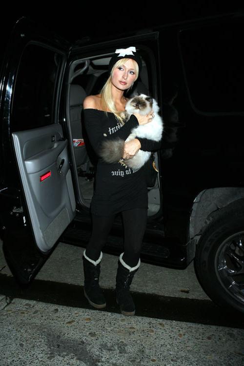 16P Paris Hilton have sex with her sister Niki Hilton in car