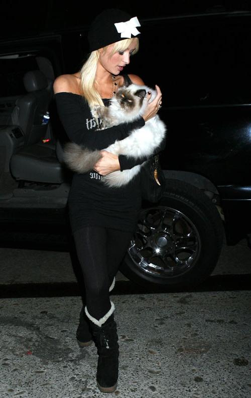 16P Paris Hilton have sex with her sister Niki Hilton in car